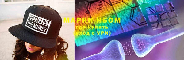 сатива Богородицк