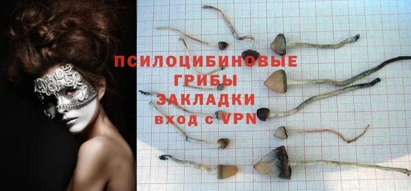 сатива Богородицк