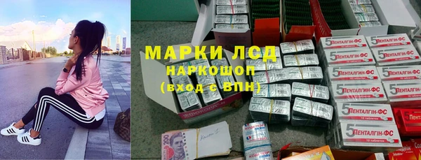 сатива Богородицк