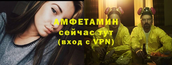 сатива Богородицк