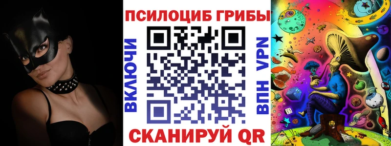 Псилоцибиновые грибы Psilocybine cubensis  закладки  Стерлитамак 